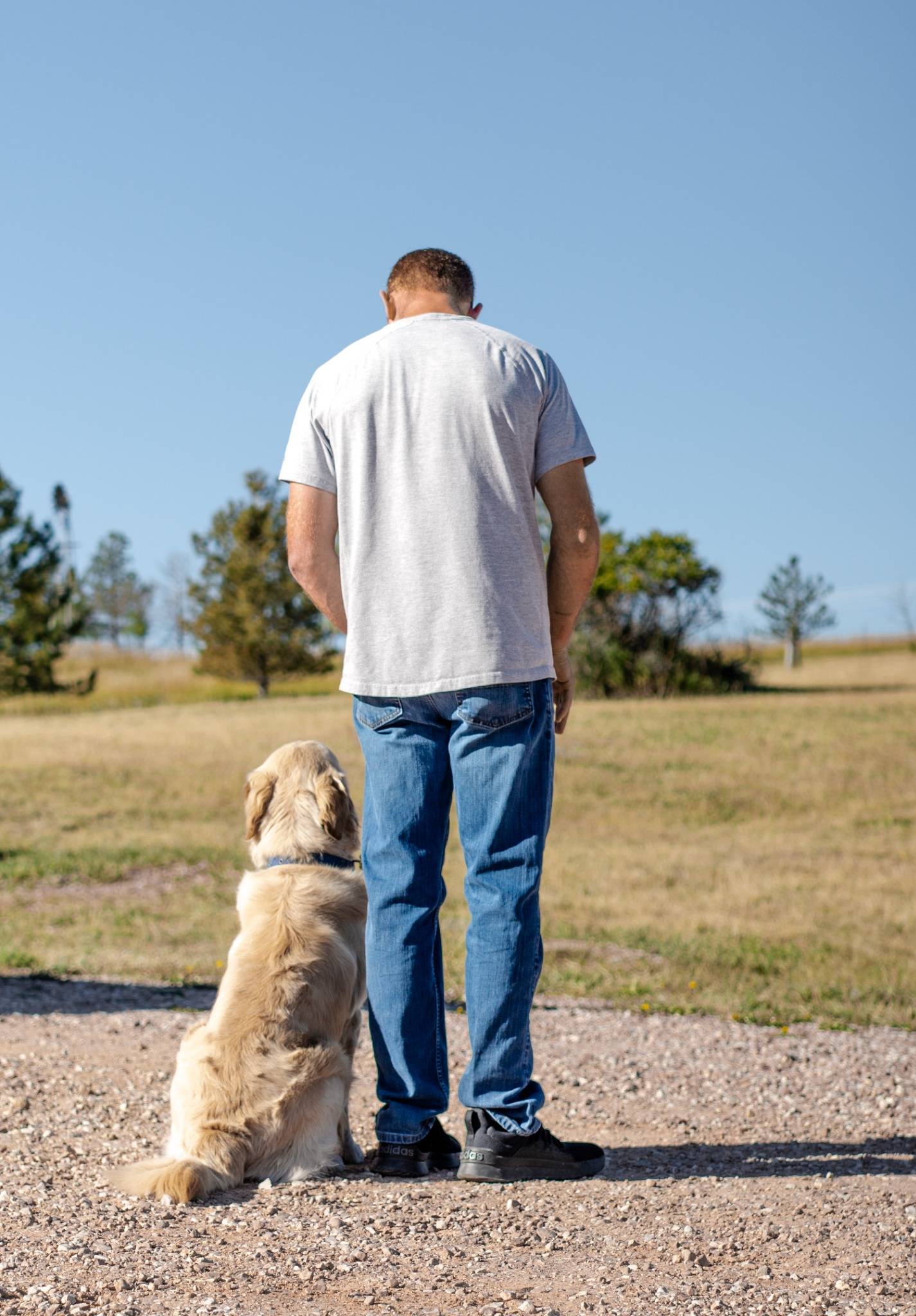 In-Home Dog Training training image 3